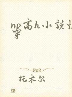 np高h小说快穿