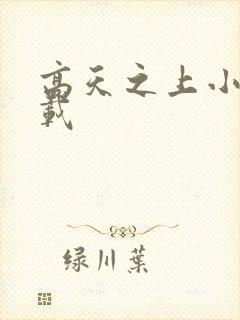 高天之上小说下载