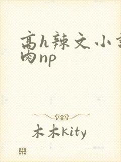 高h辣文小说纯肉np封面