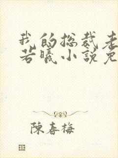 我的总裁老婆林若曦小说免费封面