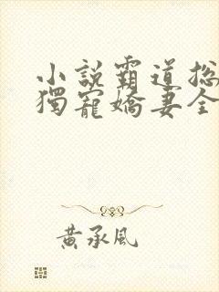 小说霸道总裁的独宠娇妻全文阅读