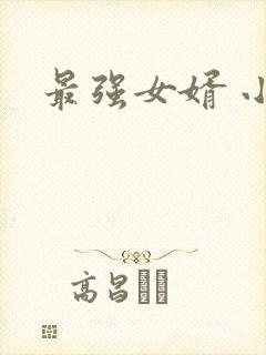 最强女婿 小说封面