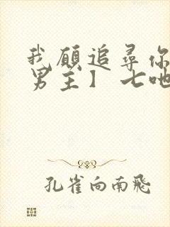 我愿追寻你【双男主】 七吔封面