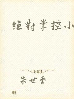 绝对掌控小说