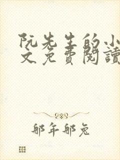 阮先生的小说全文免费阅读无弹窗