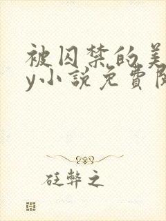 被囚禁的美人by小说免费阅读封面