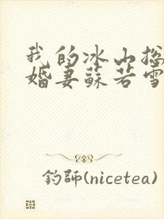 我的冰山总裁未婚妻苏若雪