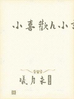 小喜欢h小说