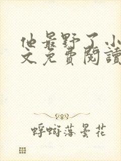 他最野了小说全文免费阅读无弹窗
