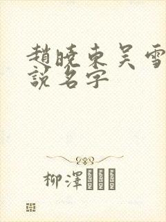 赵晓东吴雪晴小说名字