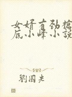 女婿有劲枪枪到底小峰小说封面