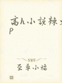 高h小说辣文np