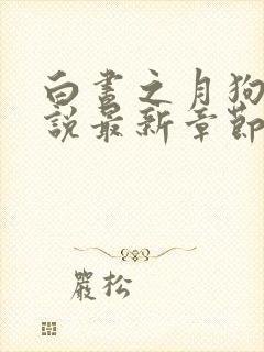 白昼之月狗子小说最新章节免费阅读