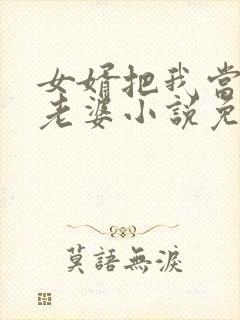 女婿把我当成他老婆小说免费阅读封面