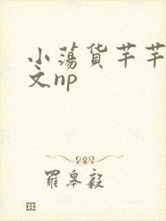 小荡货芊芊小辣文np