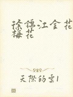 徐锦江金花瓶楷梅花封面