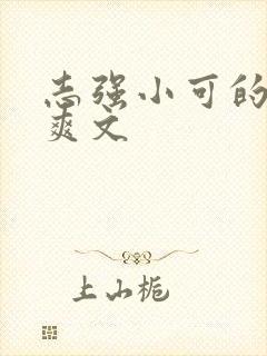 志强小可的奶水爽文