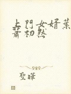 上门女婿叶辰 萧初然封面