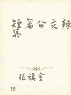 短篇公交辣文合集封面