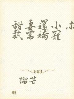 甜妻还小 ,总裁需娇宠