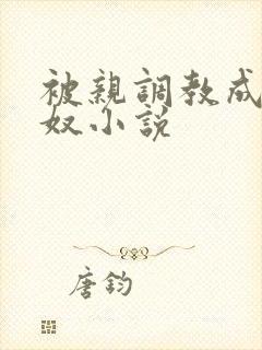 被亲调教成她的奴小说封面