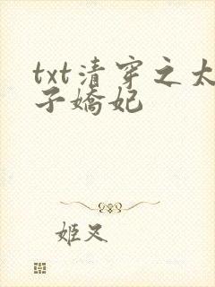 txt清穿之太子娇妃封面