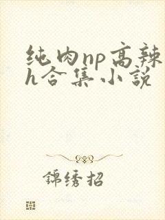 纯肉np高辣文h合集小说