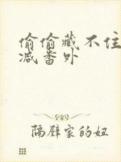 偷偷藏不住未删减番外