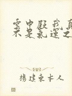 云中殿 我真的不是气运之子