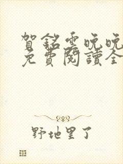 贺铭云晚晚小说免费阅读全文最新章节封面