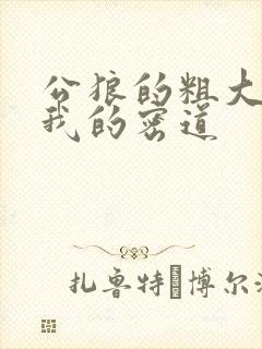 公狼的粗大挺进我的密道