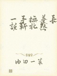 一手抚养长大小说靳北然