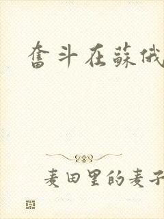 奋斗在苏俄
