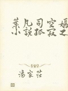 叶凡司空嫣然的小说孤寂之狼