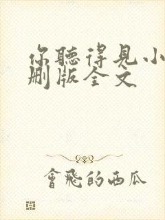 你听得见小说未删版全文