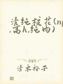 清纯校花(np,高h,纯肉)