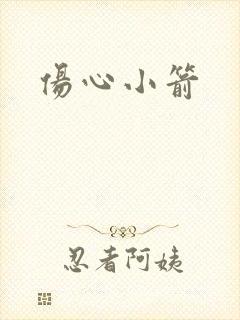 伤心小箭封面