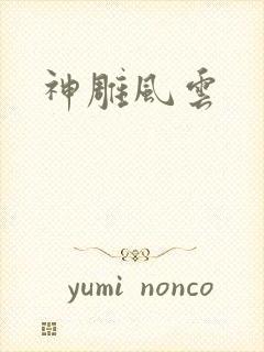 神雕风云