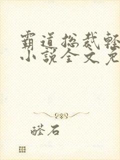 霸道总裁轻点宠小说全文免费阅读