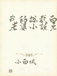 我的总裁白富美老婆小说免费讲述