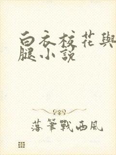 白衣校花与大长腿小说