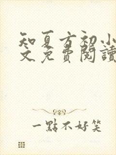 知夏方初小说全文免费阅读最新章节封面