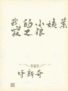 我的小姨叶凡孤寂之狼