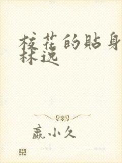 校花的贴身高手林逸封面