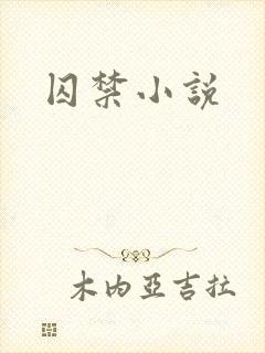 囚禁小说