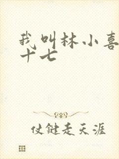 我叫林小喜今年十七