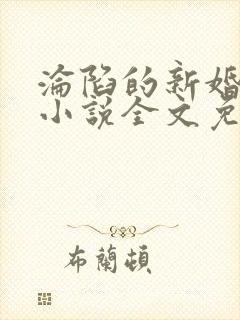 沦陷的新婚少归小说全文免费阅读正