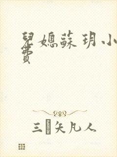 儿媳苏玥小说免费