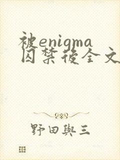 被enigma囚禁后全文免费阅读