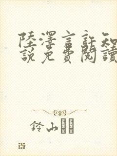 陆泽言许知夏小说免费阅读最新章节封面